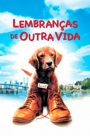 Capa do filme Lembranças de Outra Vida para assistir online em HD