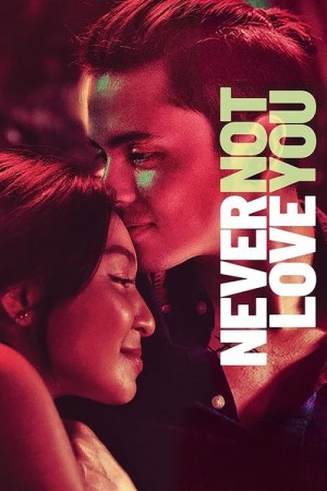 Capa do filme Never Not Love You para assistir online em HD