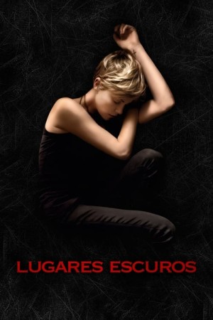 Capa do filme Lugares Escuros para assistir online em HD