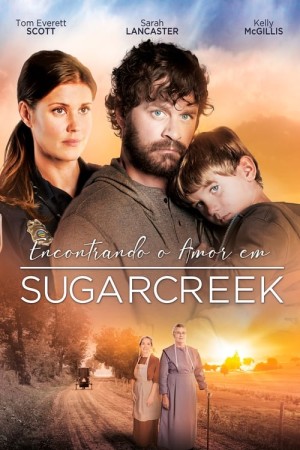 Capa do filme Encontrando o Amor em Sugarcreek para assistir online em HD