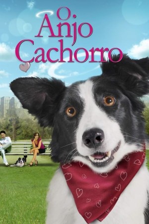 Capa do filme O Anjo Cachorro para assistir online em HD