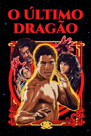 Capa do filme O Último Dragão para assistir online em HD